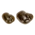 thumbnail image 2 of 80 Pcs Appâts Souples en Forme d'Escargot Flottants TPE 1,5 g Bouillie Réaliste en Forme d'Escargot Appâts Flottants pour Poils de Carpe Zig Rig pour-Method Feeder, 2 of 9