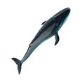 thumbnail image 1 of Realistic Whale Animal Model Education Soft Model Whale Figure Toy Figure Kids Toy Blue Whale, 1 of 9