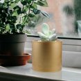 thumbnail image 4 of MasteelfCA Outdoor Plant Planter Iron Succulent Planter Pot Modern Style Metal Flower Pot Golden, 4 of 8