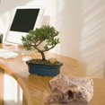 thumbnail image 2 of Realistic Fake Rock Covers for Outdoor Landscaping, Lightweight Artificial Decorative Rocks Made of Durable PU Foam, Perfect for Yard Garden Decor and Well Cover Concealment, 2 of 4