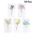thumbnail image 2 of CIMAXIC 10pcs Birthday Party Greeting Cards Dried Flower Gift Parrty Wish, 2 of 5