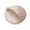 Rose P, variante sur Tapis de Lit Chaud d'Hiver pour Hamster, Coussin de Literie pour Petit Animal en Peluche Douce en Flanellette, Coussin de Cage Respirant et Évacuant l'Humidité pour Hamsters, Cochons d'Inde, Chinchillas, Lapins et Hérissons
