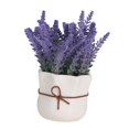 thumbnail image 1 of Lavender Potted Plant Arrangement Flower Flower Pot for Hotel Kitchen Office A, 1 of 8