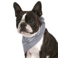 thumbnail image 1 of Balec Pack de 2 Paisley Coton Chien Bandana Forme Triangle - Taille Unique, 1 of 2