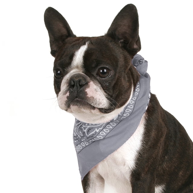 Balec Pack de 2 Paisley Coton Chien Bandana Forme Triangle - Taille Unique