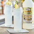 thumbnail image 2 of Master of Mixes 1 Liter Premium Tom Collins Mix, 2 of 2