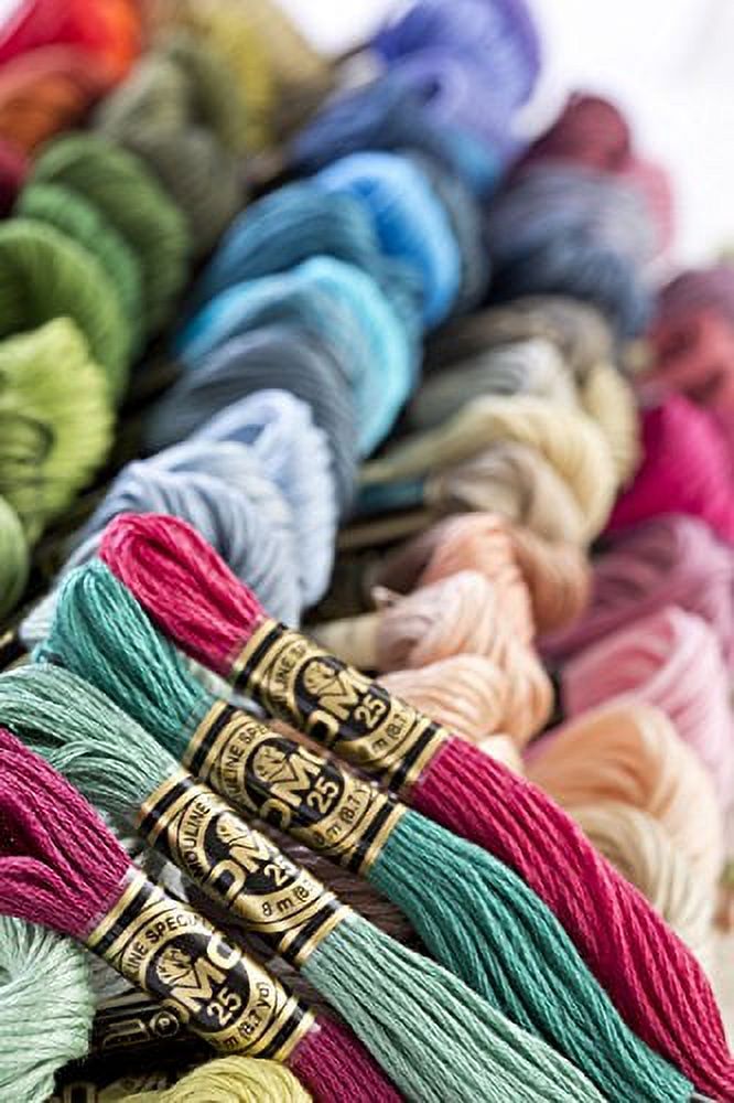 DMC coton 6 brins fil à broder 8 m (8.75 yd), rouge