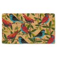 thumbnail image 1 of Abbott Collections AB-35-FWD-BI-1011 18 x 30 in. Colourful Birds Doormat, Multi Color, 1 of 2