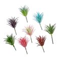 thumbnail image 4 of Coofit Artificial Succulent Plastic Faux DIY Succulent Plant Unpotted Succulent for Home, 4 of 10