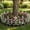landscaping border for yard Under $5 a3, variant on SSZMDLB Plastic Garden Edging Fence, Flower Bed Border for Pathways Yard Landscaping, Modular Lawn Border Fencing, Outdoor Decorative Edging Strip
