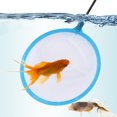 thumbnail image 3 of CIMAXIC Fish Fishing Net 20 Pcs Fishing Net Fish Network Plastic Tear-resistant Salvage Net Aquarium Accessories (Small, Round, Random Color),12.01"X2.76"X0.39", 3 of 4