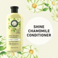 thumbnail image 4 of Herbal Essences Chamomile Shine Conditioner, 4 of 9