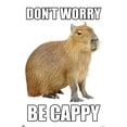 thumbnail image 1 of Capybara – Soyez Capybara, 1 of 4