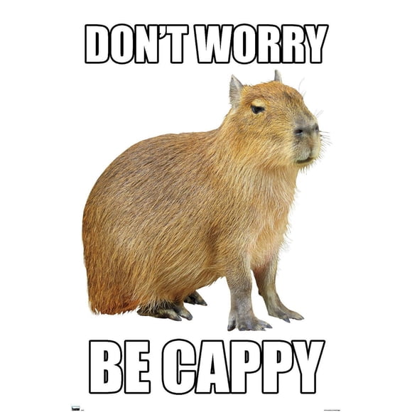 Capybara – Soyez Capybara