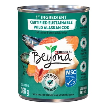 Beyond Alaskan Cod, Salmon & Sweet Potato Recipe, Wet Dog Food 368 g