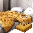 thumbnail image 2 of Dvruxg Lightweight Fall Quilt, Double-Sided Cold Effect Autumn Cooling Comforter, Machine Washable Breathable Cooling Quilt for All Season, 2 of 2