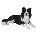 thumbnail image 1 of BORDER COLLIE Couché, 1 of 4