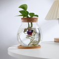 thumbnail image 3 of CHUANK Petit Bol à Poisson en Verre Betta Tank Terrarium Aquarium pour Table Basse Ou Bureau, 3 of 5