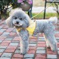 thumbnail image 2 of Cute Bee Traction Stylish Walking Dog Cat Soft Yellow With Sturdy Handle Bracelet Outdoor Adventures Traction Rope Grid Wing Style XL, 2 of 9