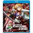 thumbnail image 1 of High School Of The Dead: Collection Complète - Blu-ray, 1 of 1