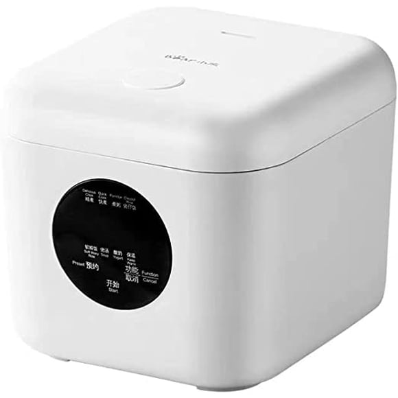 BEAR Cuiseur à Riz Portable 2 L, Cuiseur à Riz de Voyage Petit pour 2-3 Personnes, Cuiseur à Riz Personnel, Cuiseur Vapeur pour Aliments, Multi-Cuiseur pour Riz Brun, Riz Blanc, Soupe, Bouillie, Yogourt-Blanc