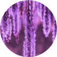 thumbnail image 1 of Ahgly Company Tapis d'Intérieur Lavable en Machine Carré Transitionnel Magenta Foncé Violet, 3 Pieds Carré, 1 of 7