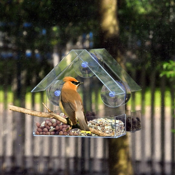 LLQkigsxse Solar Feeder for outside Clear Glass Window Viewing Bird Feed Hotel Table Hanging Suction
