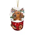 thumbnail image 2 of RKSTN Fall Decorations for Home Funny Christmas Tree Decorations, Suitable For Dogs - Gifts For Dog Lovers - Christmas Decorations - Lovely Stockings Dog Christmas Tree Decorations, 2 of 2