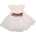 thumbnail image 1 of Jupe Tutu Sans Manches à Fleurs Froncée pour Nouveau-Nées et Tout-Petites Filles, Robe de Princesse, Robe de Fête, Tenues d'Été, 1 of 8