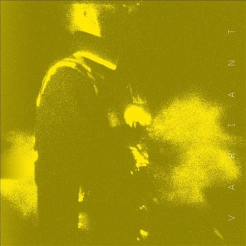V A R I A N T 12"