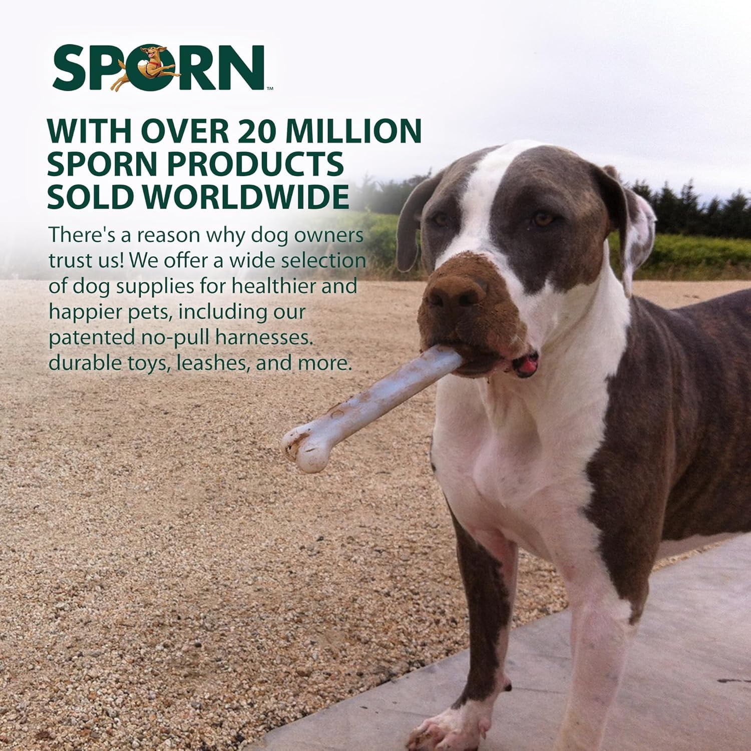 Os À Mâcher Durables Pour Chiens Sporn Pour Mâcheurs Agressifs, Jouets À Mâcher Au Goût De Viande Séchée Pour Grands Chiens, Fabriqués En Nylon Résistant, Sans Gluten Et Non Toxique, Grand