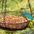 thumbnail image 1 of Mangeoire à Oiseaux Suspendue Plateau Rond Plateforme en Métal pour Décoration de Jardin Extérieur, 1 of 4