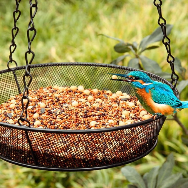 Mangeoire à Oiseaux Suspendue Plateau Rond Plateforme en Métal pour Décoration de Jardin Extérieur