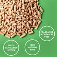 thumbnail image 2 of Arm & Hammer Feline Pine Non-Clumping Natural Cat Litter, 9.07 kg, 2 of 5