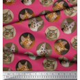 thumbnail image 3 of Soimoi Silk Fabric Cat Face Animal Print Fabric by Yard 42 Inch Wide, 3 of 3
