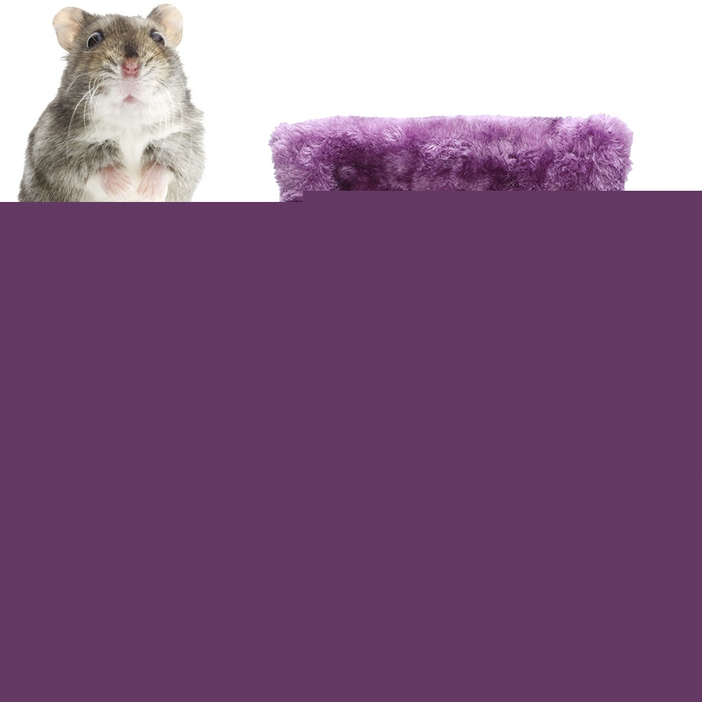 thumbnail image 1 of Thicken Hamster , Hamster Bed,  Material For Squirrel Hamster M, 1 of 8