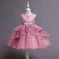 thumbnail image 2 of Robe de Princesse Sans Manches en Dentelle pour Fillette, Robe de Fête en Tulle, Vêtements de Cosplay, 2 of 9