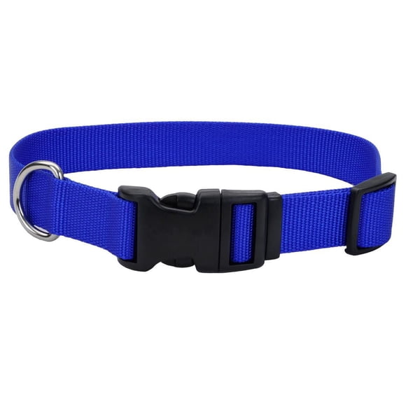 Pet Attire By Coastal Collier Réglable pour Chien avec Boucle en Plastique Bleu, Petit, 3/8" x 8"-12"
