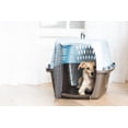 thumbnail image 5 of PETMATE 2 DOOR TOP LOAD KENNEL 24” FOR DOGS AND CATS, 5 of 5