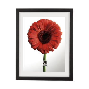 Document Photo Display