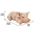 thumbnail image 5 of Hi- Line Gift 87686-A Statue de Cochon Endormi, 5 of 5