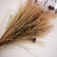 thumbnail image 2 of Flower Arrangement Dried Pampas Grass Real Plants Natural Herb Bouquet For Wedding Home Decoration Net Red Little Reed, 2 of 10