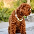 thumbnail image 3 of LSLJS Collier Collier pour Chien en Perles Bijoux pour Chiot Collier Brillant en Strass Cat Collier Bling pour Chien Collier Cat Bijoux pour Animaux Collier, 3 of 9