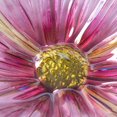 thumbnail image 2 of Hometrends ABREUVOIR D’OISEAUX EN VERRE, 2 of 8