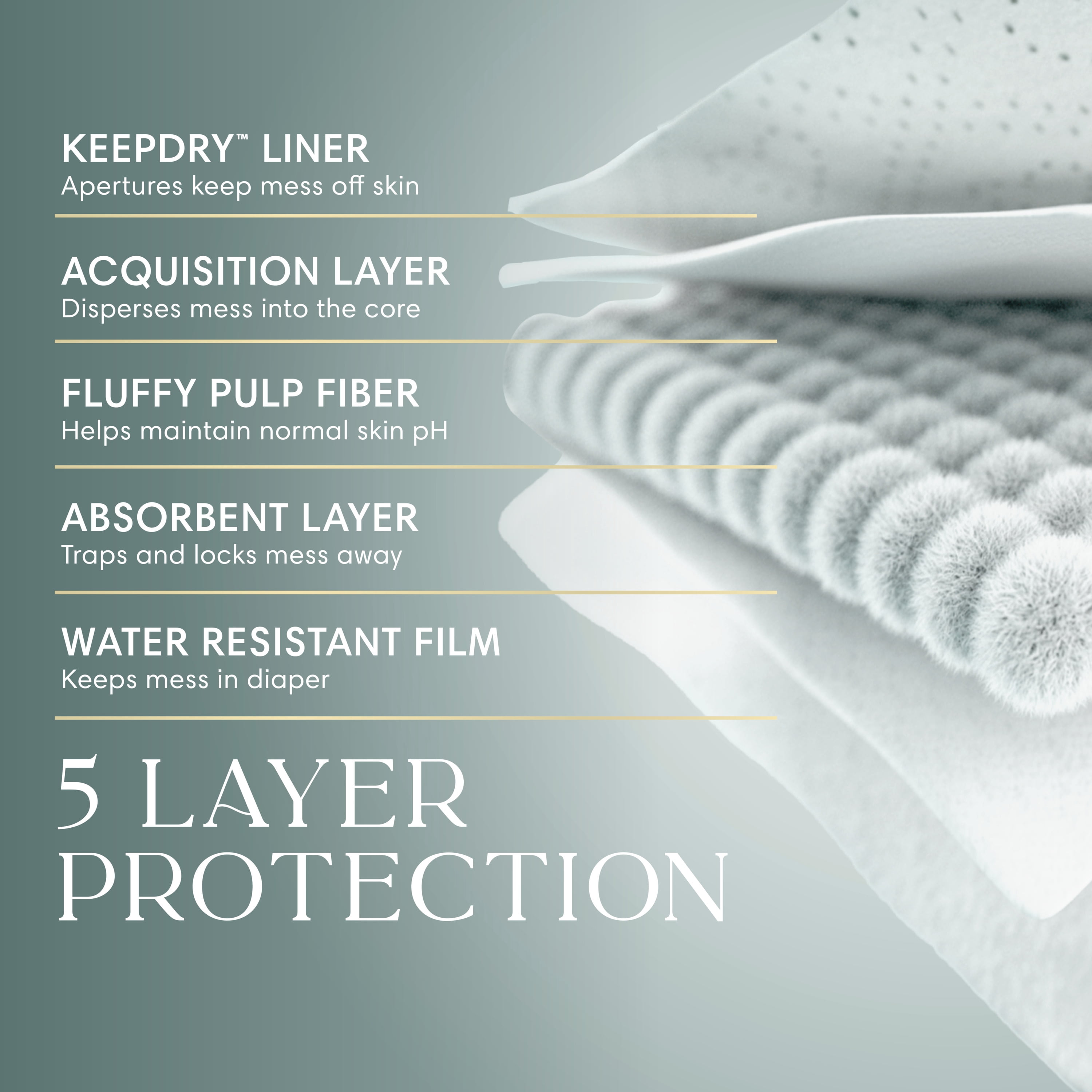 NOUVEAU Pampers AMORE, taille 2 (4,5 à 10 kg [10 à 22 lb]), notre meilleure couche, 186 unités