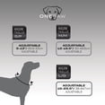 thumbnail image 3 of One Paw, Silicone Dog Collar with Metal Buckle, Water Repellent, Multiple Sizes and Colours, 3 of 9