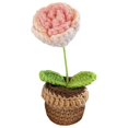 thumbnail image 3 of GROWTH TANK Handmade Crochet Flowers Car Dashboard Decorations Mini Crochet Potted Plant for Gradient Pink Rose, 3 of 9