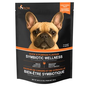 Harlow Blend Soft Chew Dog Treat, 340 gram, 2-pack- Duck and Pumpkin