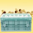 thumbnail image 4 of KAKOWELY brooder box 1 Set Plastic Parrot Incubator Young Birds Hatch Box Parrot Brood Supplies With Heating Pad8.27"X5.91"X3.94", 4 of 5
