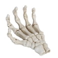 thumbnail image 2 of Plastic Skeleton Hands,Halloween Skeleton Hands High Human Hand Skeleton Model Halloween Skeleton Hands Ultra Responsive, 2 of 14